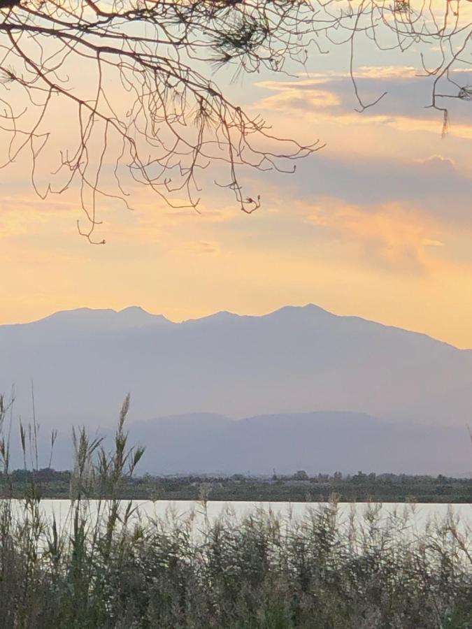 Mobilhome Canet En Roussillon - Canet Plage Loc Dış mekan fotoğraf